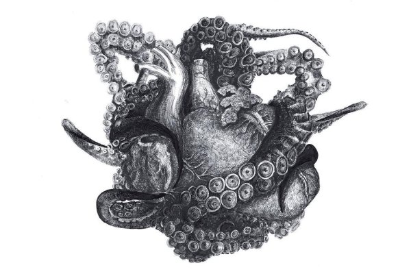 Kra35.at